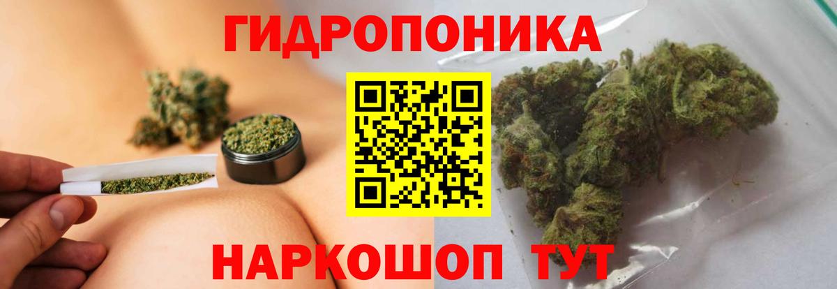 Каннабис White Widow Луга